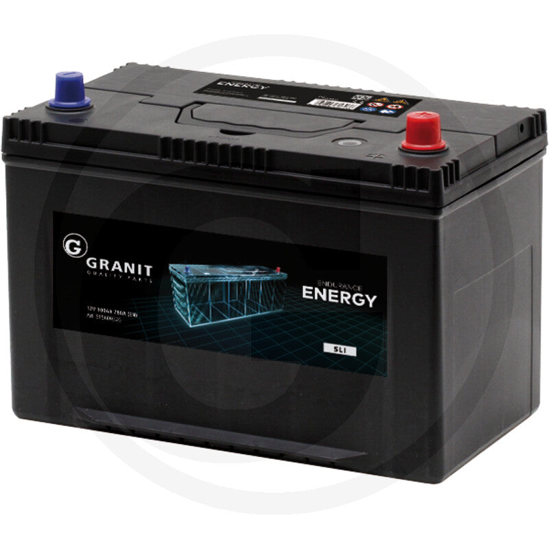 ENDURANCE ENERGY Batteria 12 V / 100 Ah